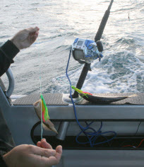 Electric reels